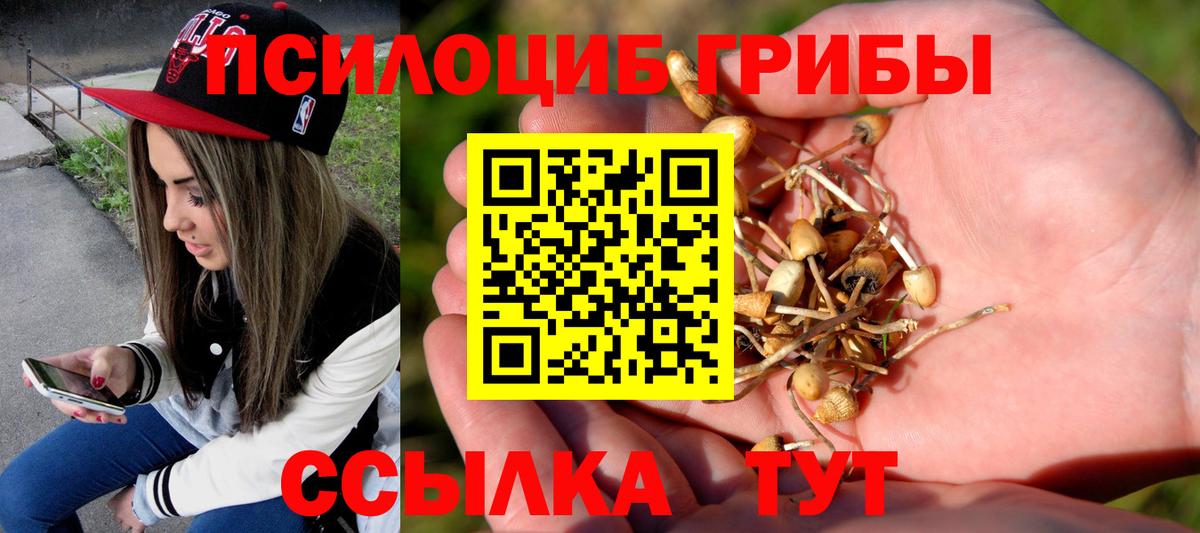 Псилоцибиновые грибы GOLDEN TEACHER  Вход с VPN  Галлюциногенные грибы Psilocybine cubensis  Дивногорск 